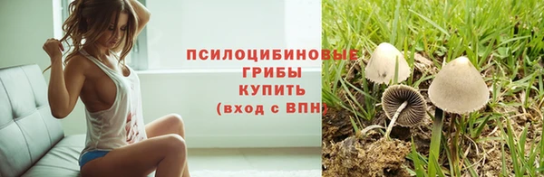 тгк Няндома