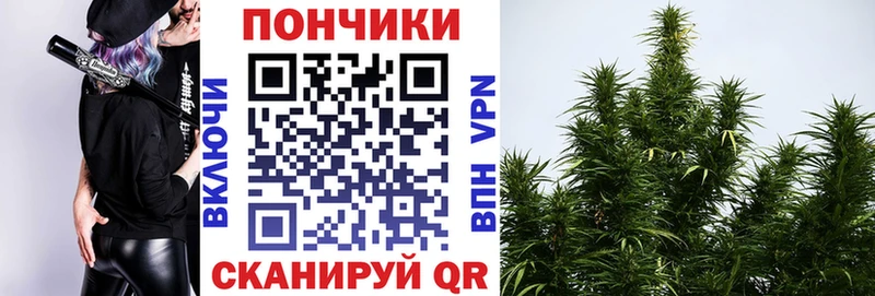omg как зайти  Константиновск  Шишки марихуана гибрид  закладка 